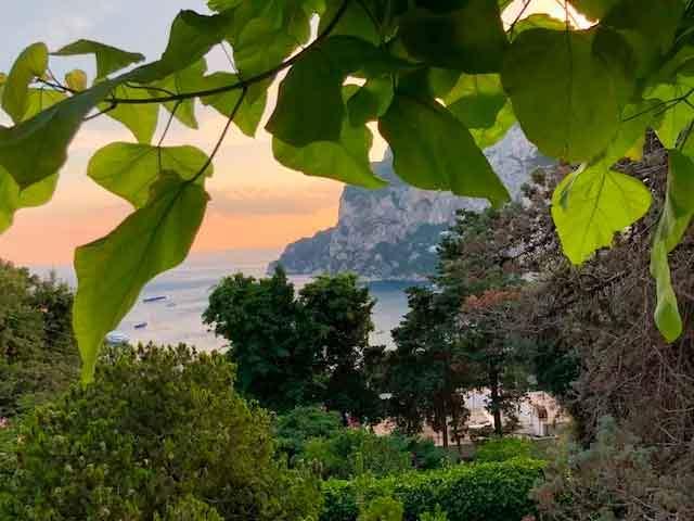 CAPRI