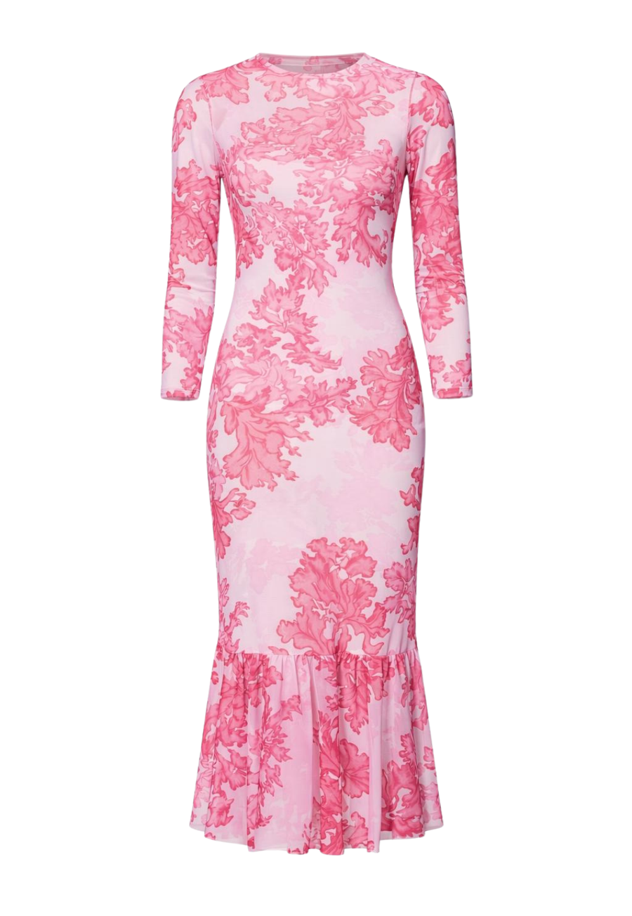 coral sheer dress NEVER FULLY DRESSED Daisy Sheer Dress - Coral