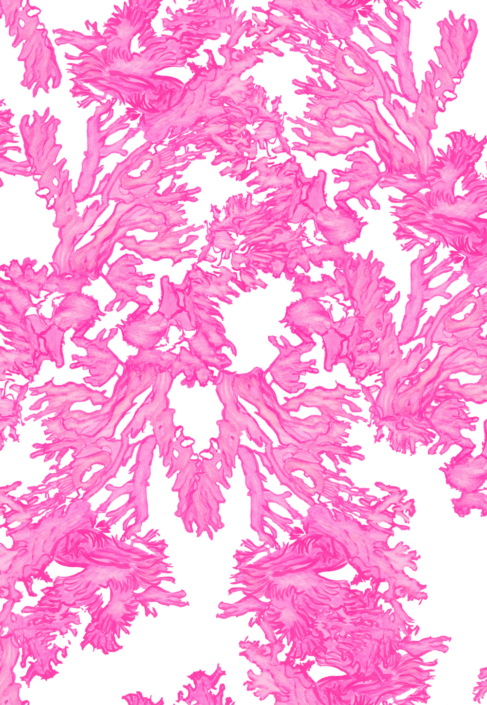 Pink coral pattern on a white background