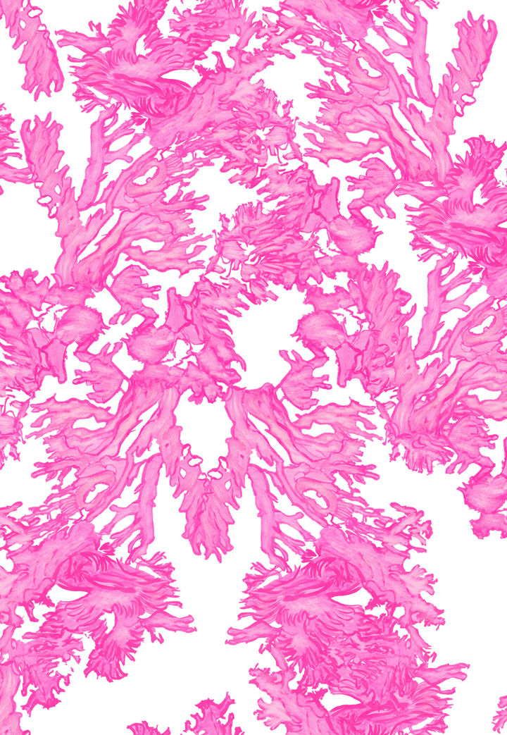 Pink coral pattern on a white background