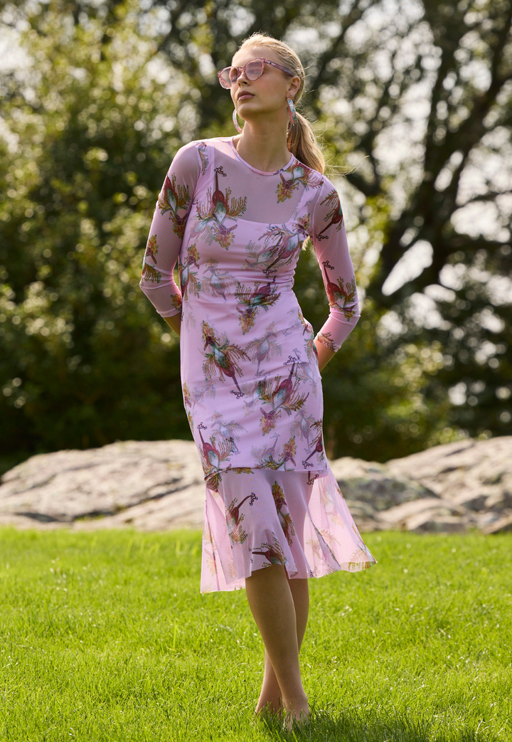 Sophia Mini Sheer Dress in Cuckoo Birds