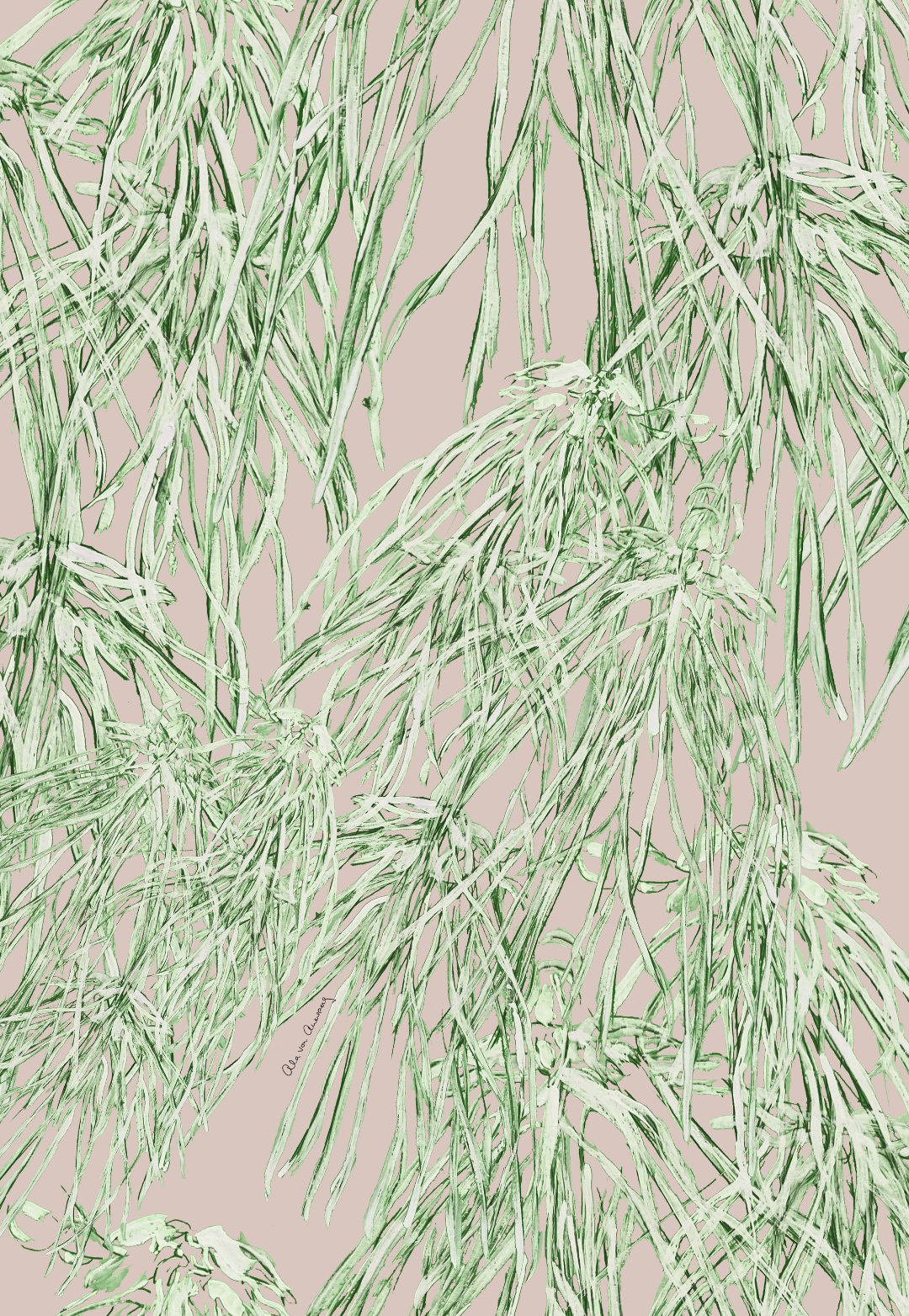 Painting of green sea grass against a pale pink background by Ala von Auersperg