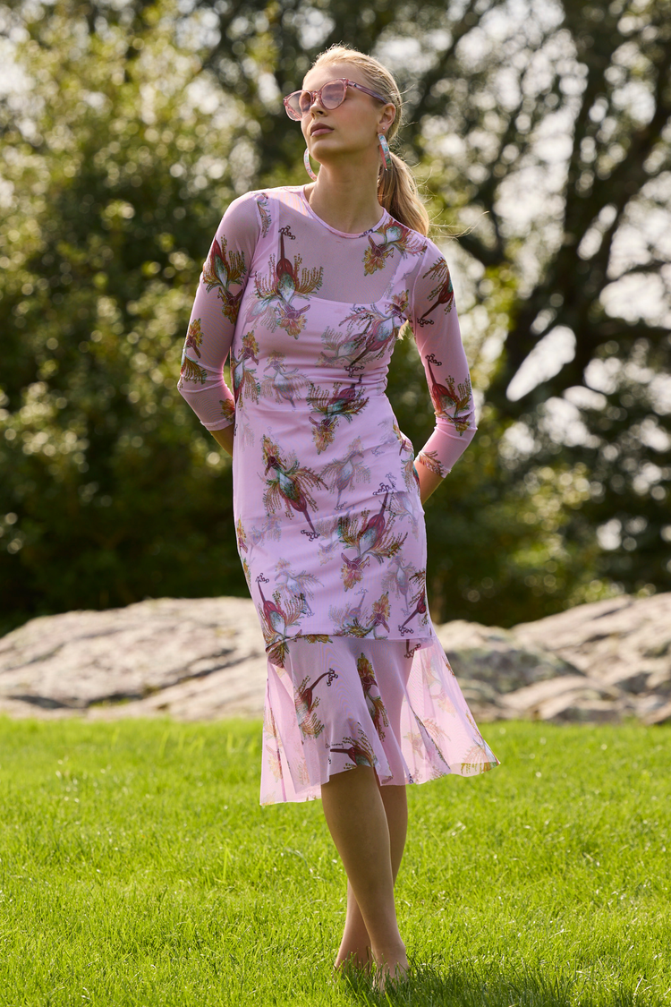 AvA Women's Sophia Sheer Dress in Cuckoo Birds – AlavonAuersperg.com