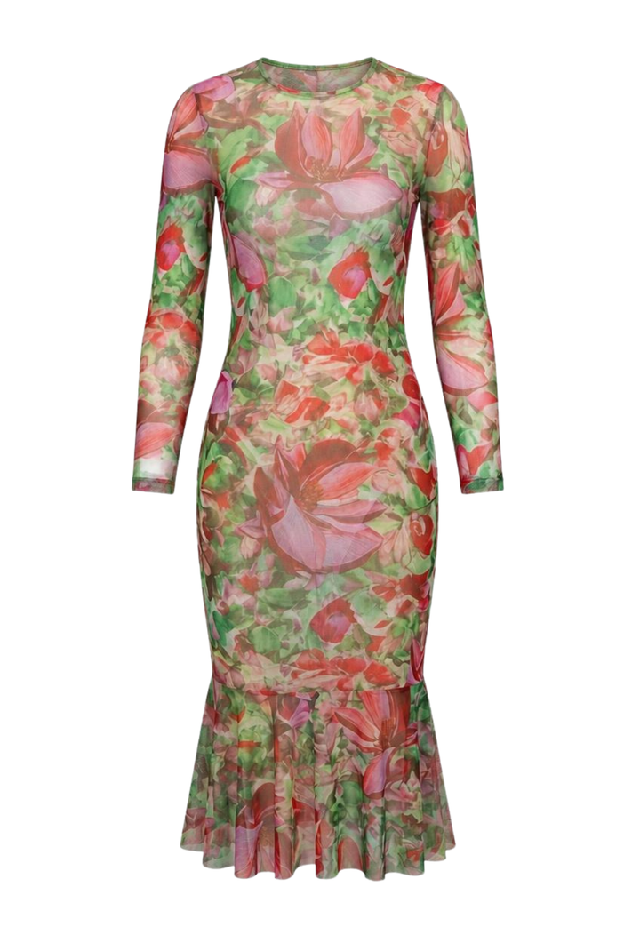 Mesh floral dress