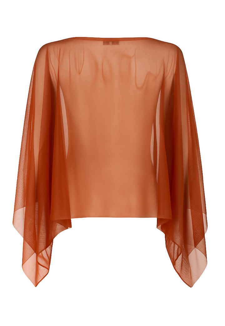 Clivia Sheer Top in Leather Brown