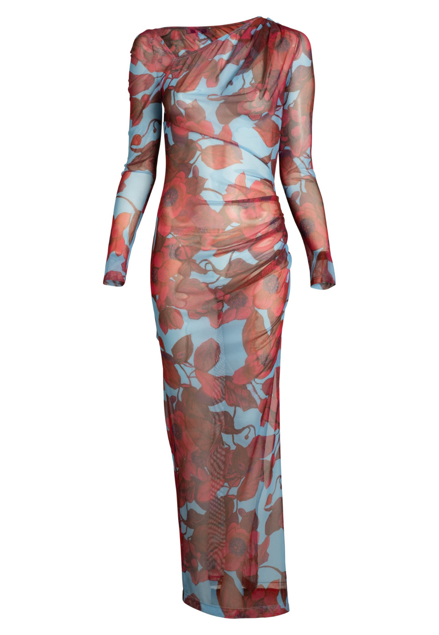 AvA Women's Geraldine Sheer Dress in Raspberry Grandiflora –  AlavonAuersperg.com