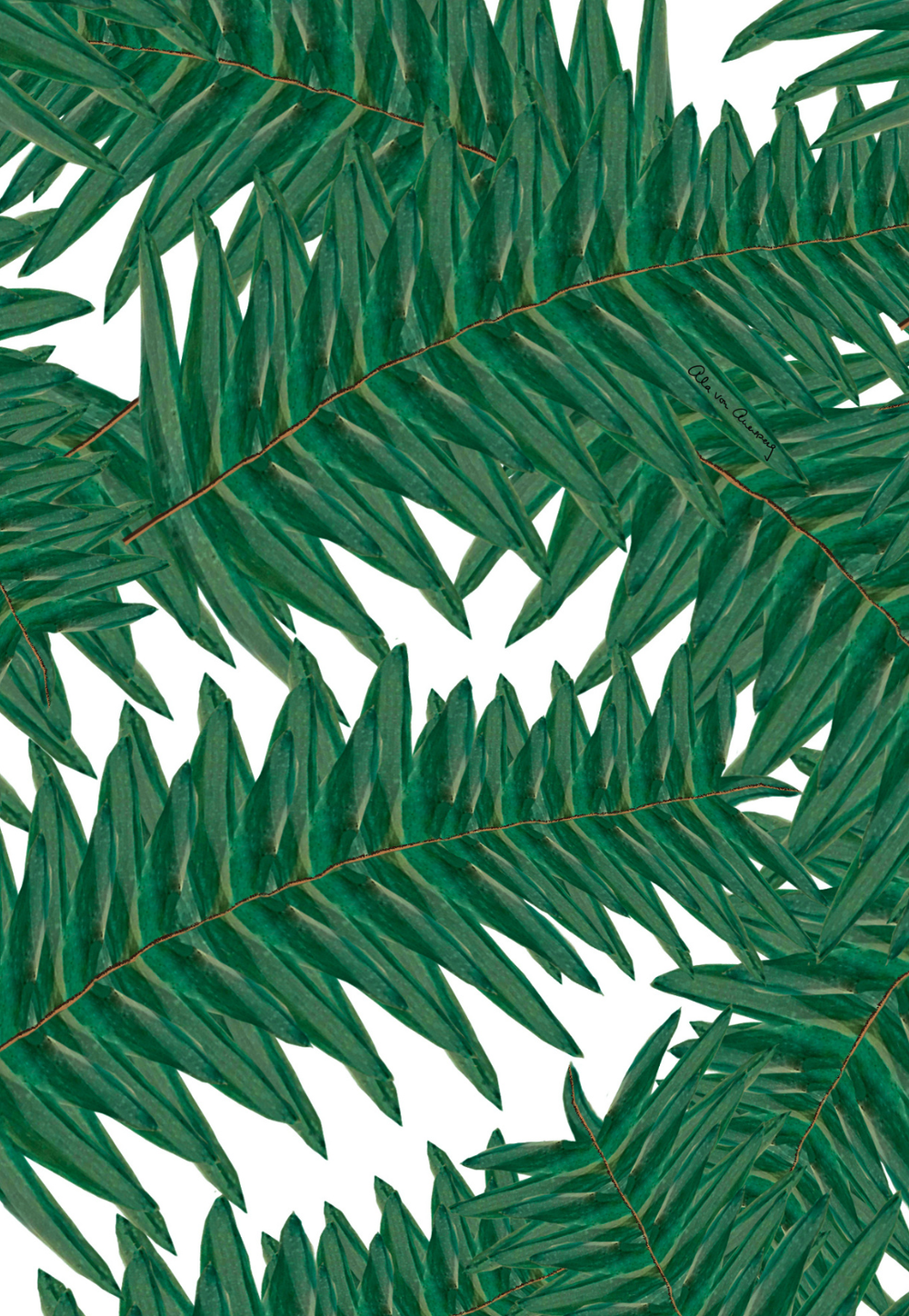 Print of green palm leaves by designer Ala von Auersperg for womens luxury travel clothing