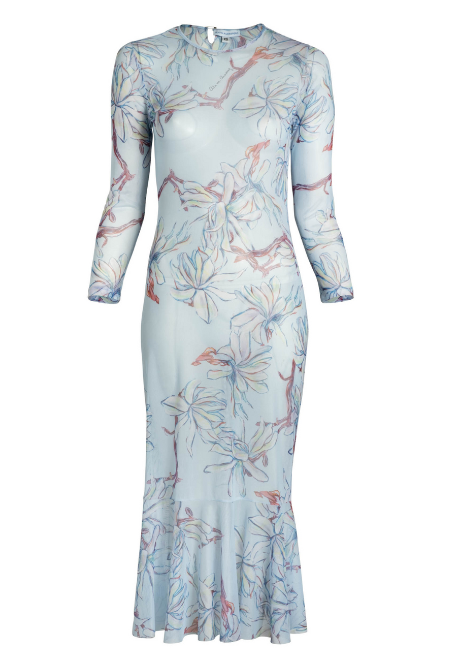 AvA Women's Sophia Mini Sheer Dress in Magnolia XS AvA Women's Sophia Mini Sheer Dress in Magnolia XS