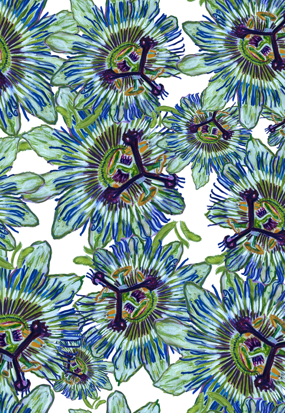 Image of green and blue passion flowers on a white ground painted by Ala von Auersperg