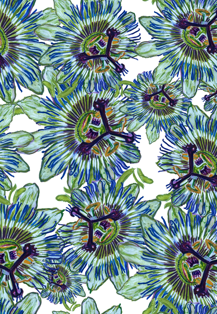 Image of green and blue passion flowers on a white ground painted by Ala von Auersperg