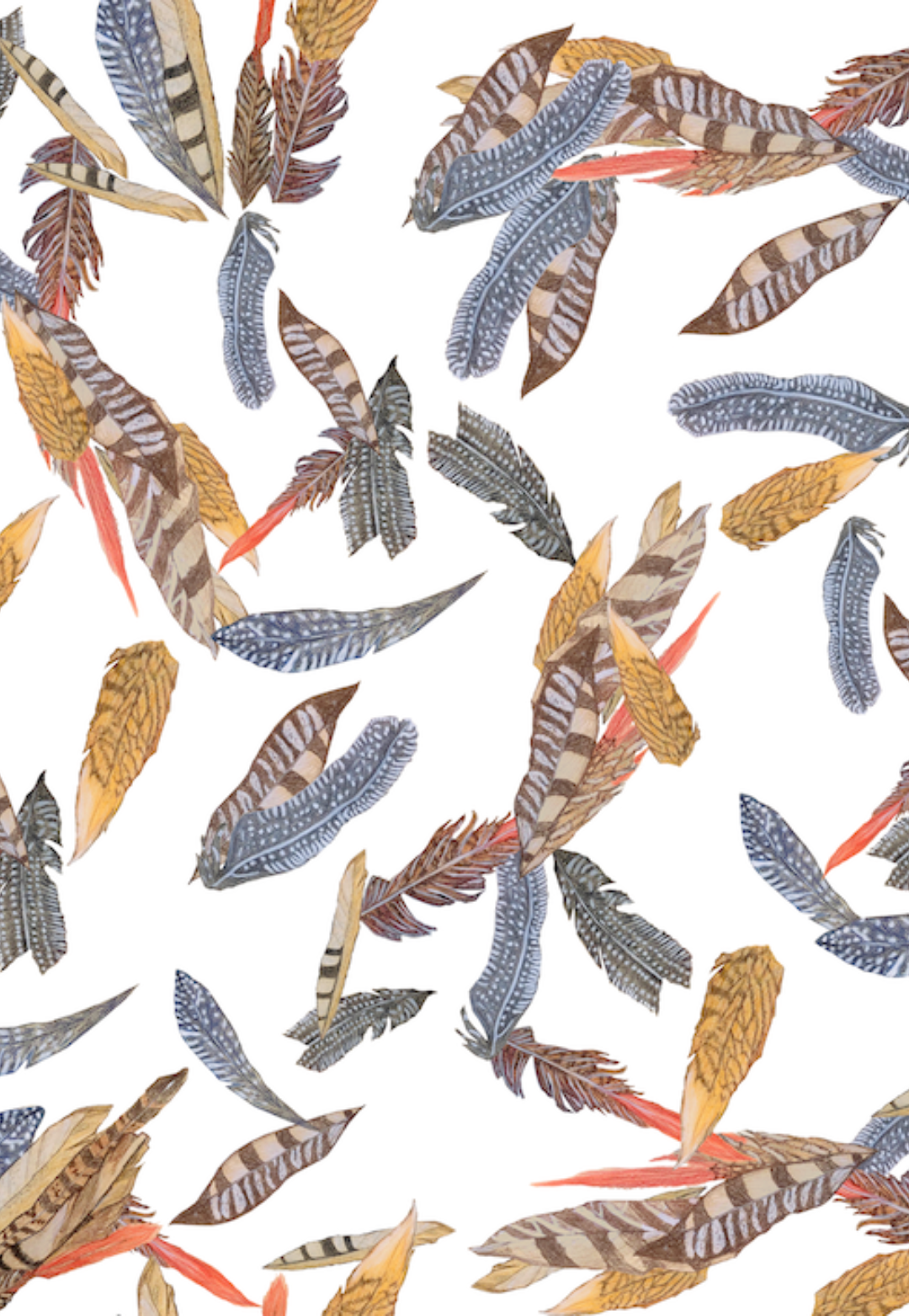 Neutral tone feathers on a white background as a print by designer Ala von Auersperg