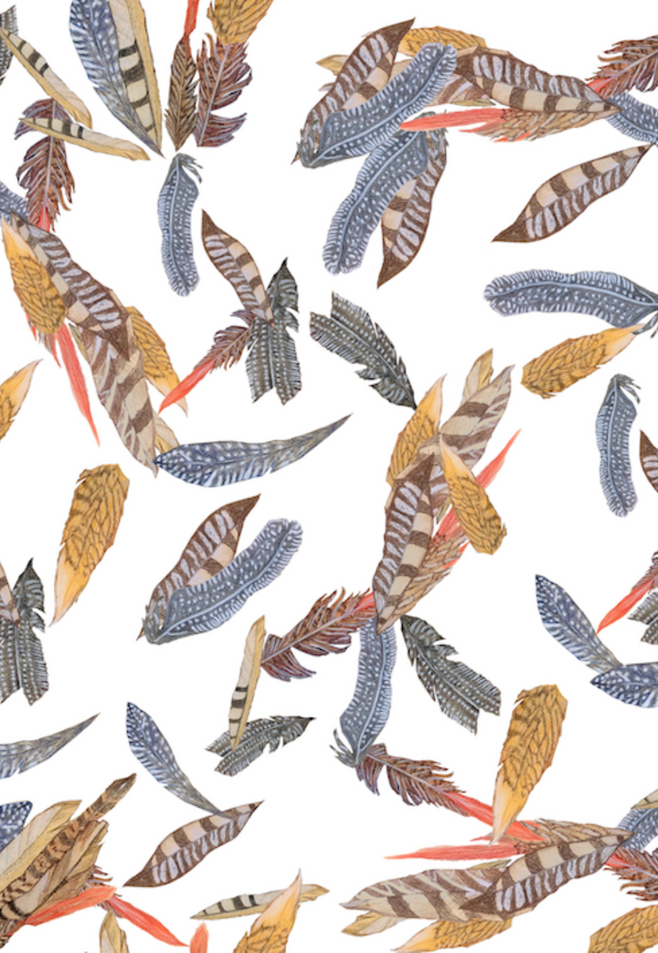 Neutral tone feathers on a white background as a print by designer Ala von Auersperg