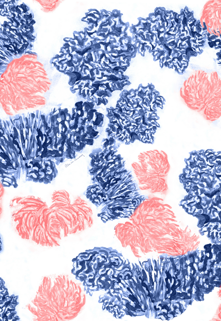Coral Reef blue and pink nautical coral print painted by Ala von Auersperg