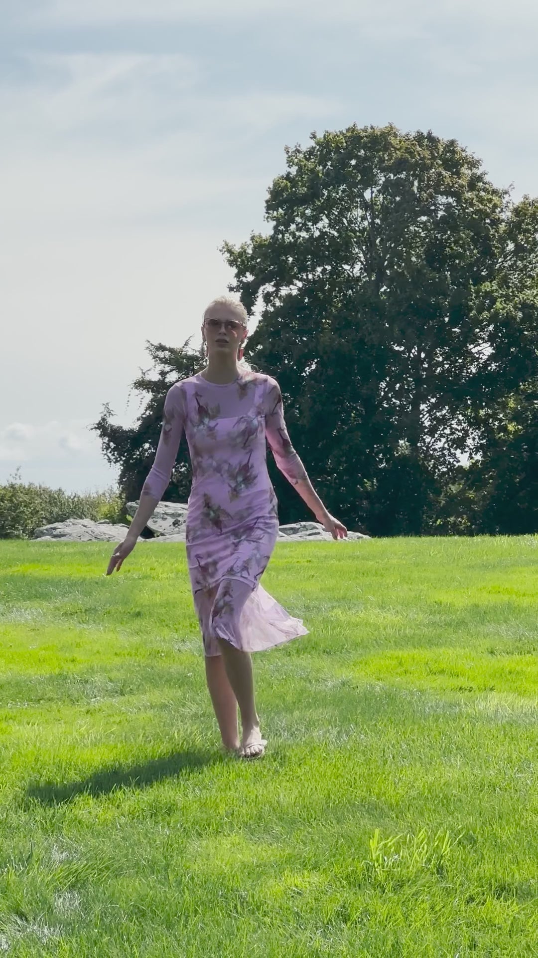 Sophia Mini Sheer Dress in Cuckoo Birds