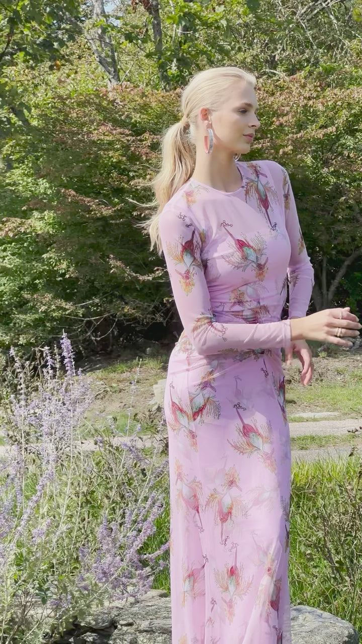 Shasta Dress in Cuckoo Birds