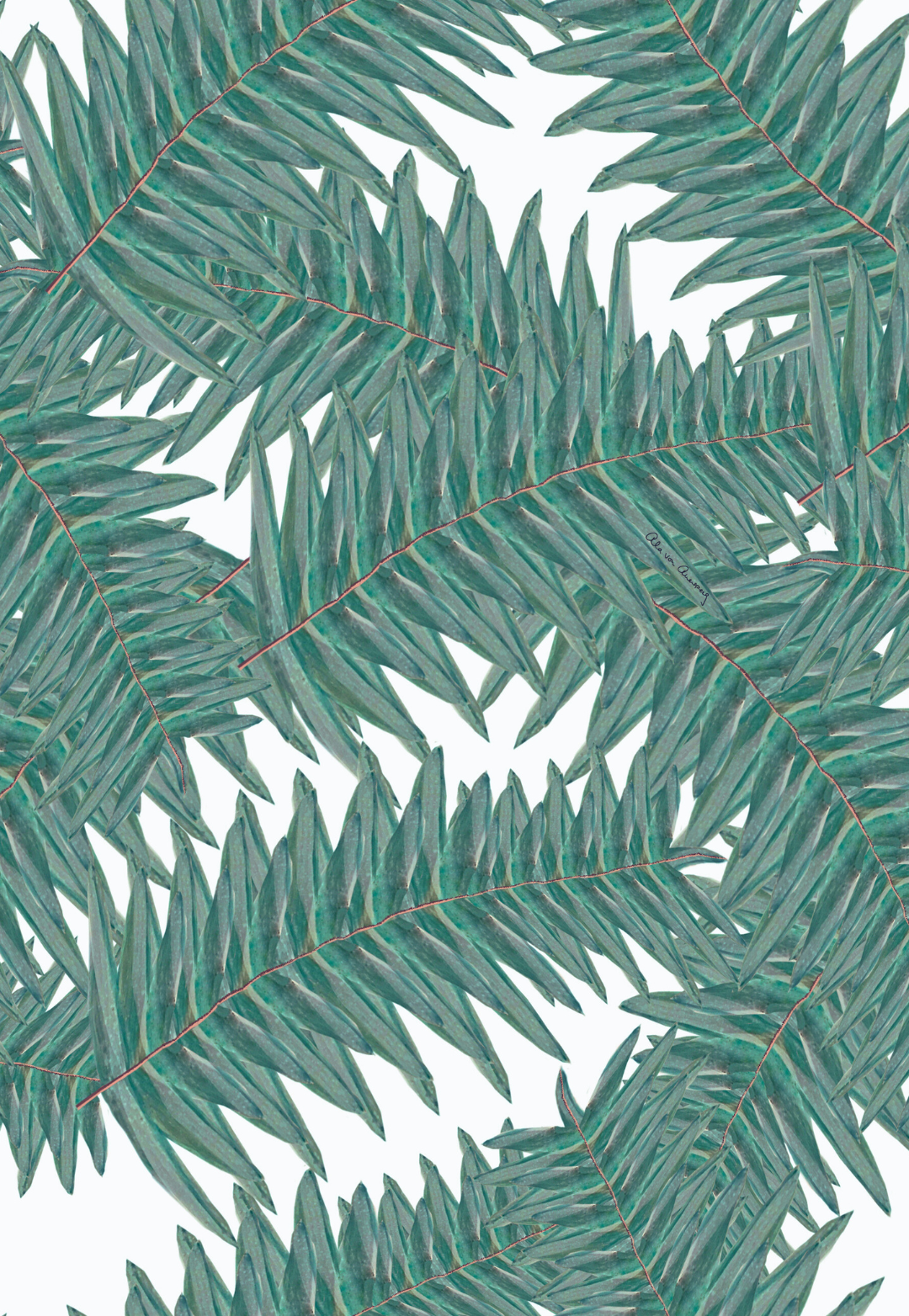 Queen Palm green palm leaf print painted by Ala von Auersperg