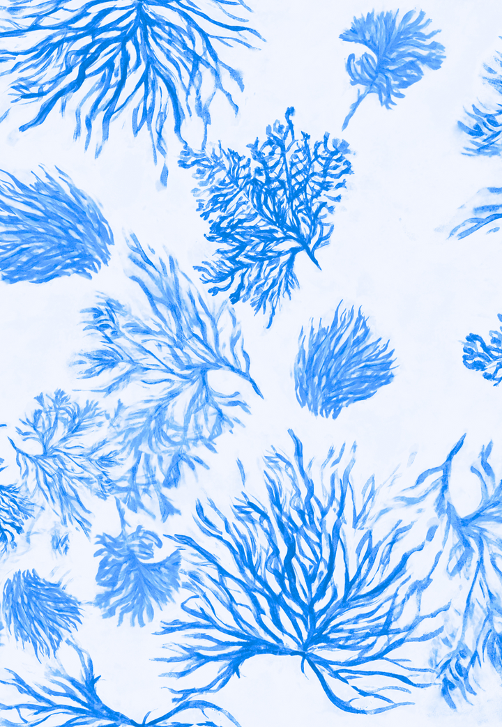 Toile de Reef blue and white sea fan print painted by Ala von Auersperg